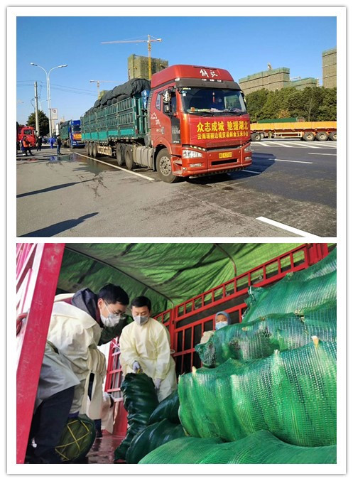 明日方舟资深干员tag搭配_明日方舟资深干员词条一览_明日方舟中资深干员