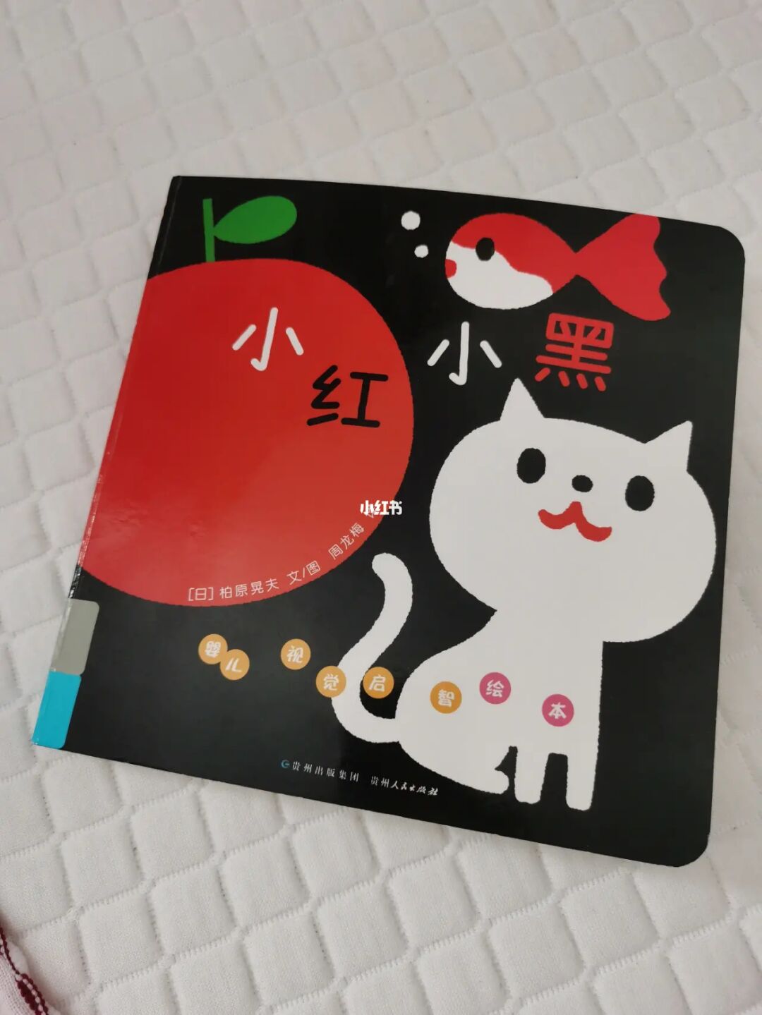 下载小红书_小红书下载官网_小红书下载的图片怎么去除水印