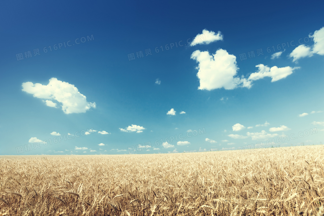 恐怖种地游戏_农场种地游戏_种地游戏