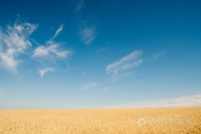 种地游戏_农场种地游戏_恐怖种地游戏