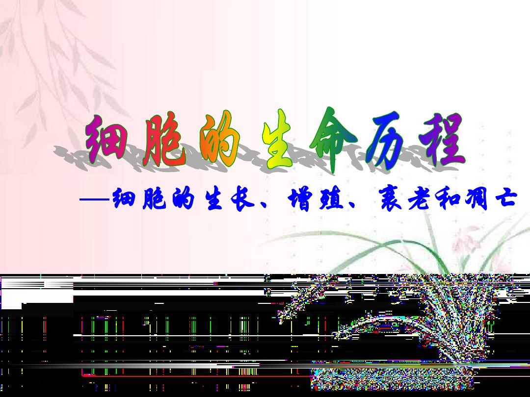 生命之息_dnf卡生命之息_dnf生命之息