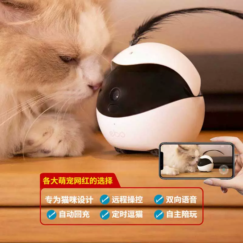 猫咪2.0安卓_猫咪1.2.4安卓下载_猫咪后院安卓下载