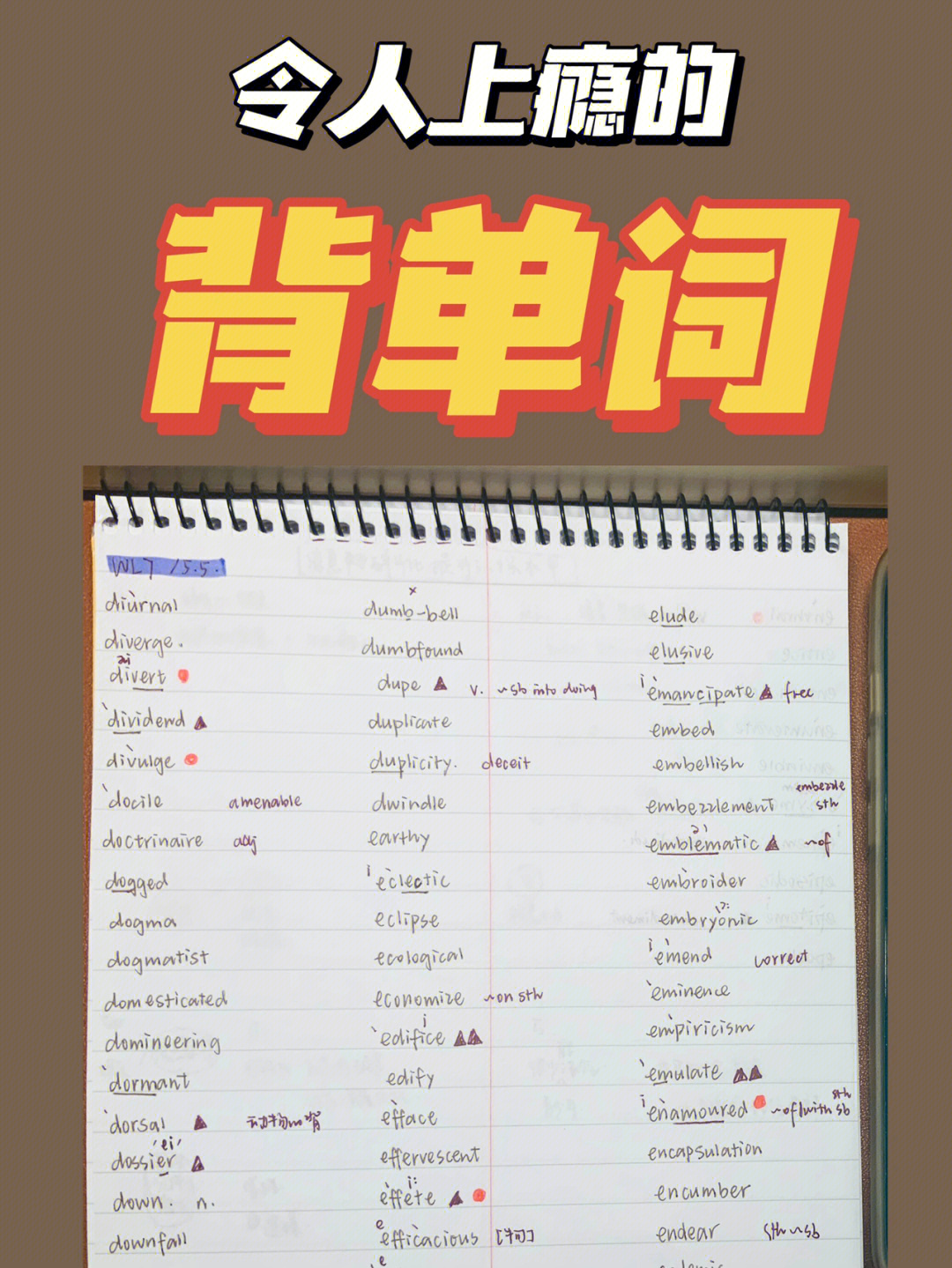 背单词每天背多少合适_不背单词怎么设置每天背单词量_背单词一天多少个合理