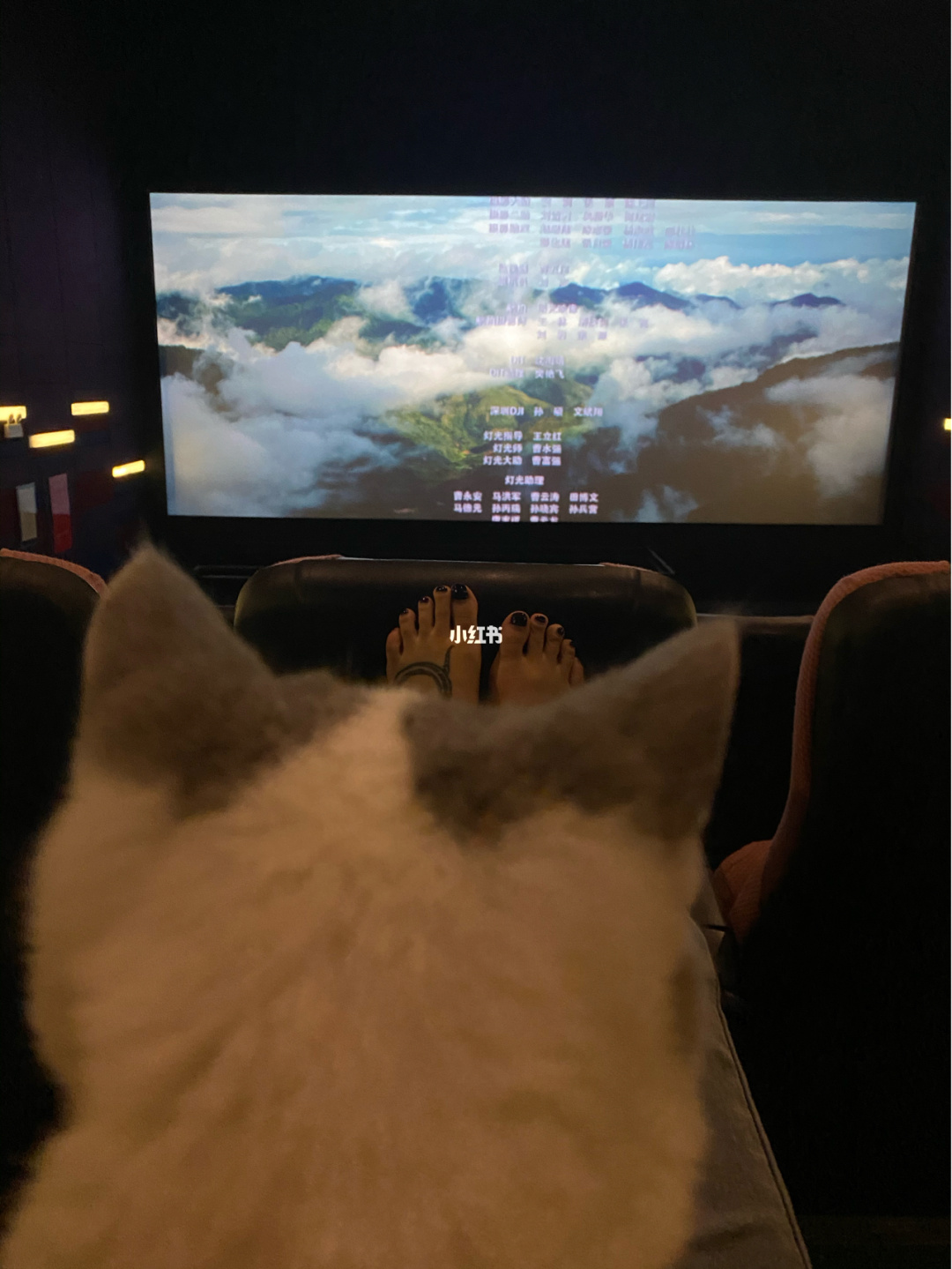 猫咪看片软件下载官方_猫咪看片软件下载官方_猫咪看片软件下载官方