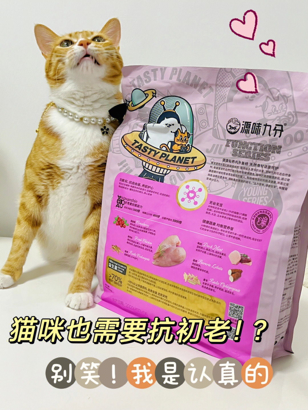 功夫宠物_功夫宠物游戏_功夫宠物下载