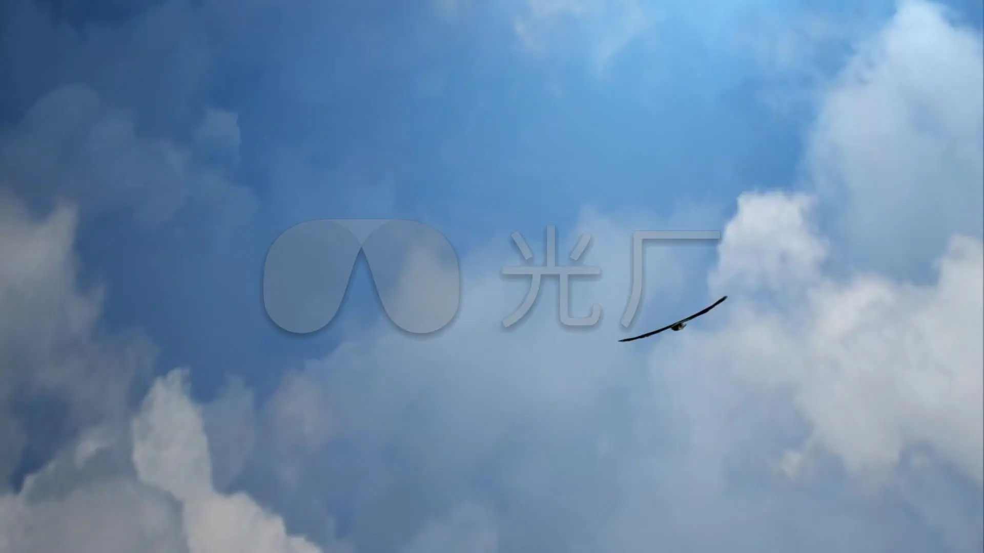 鹰击长空1_长空鹰击电影_鹰击长空是