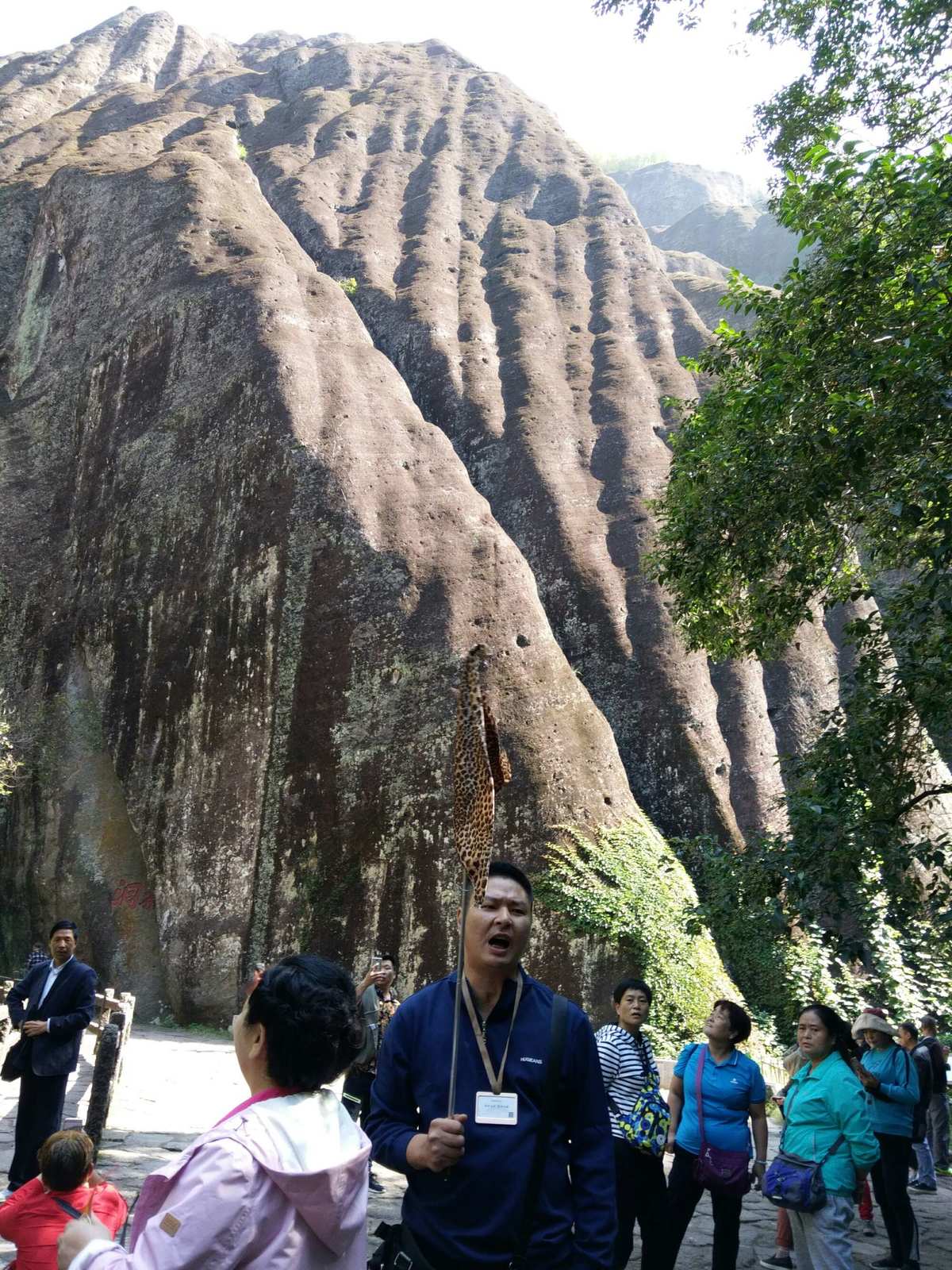 掌缘发红是怎么回事_掌缘_掌缘生灭是什么意思