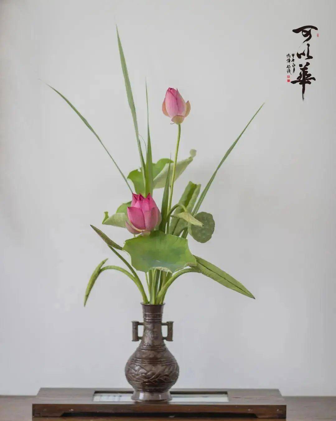 宗花花_花宗_宗花的营养与功效