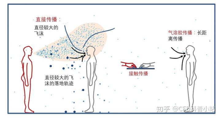瘟疫病毒游戏_病毒游戏_病毒游戏公司破解版