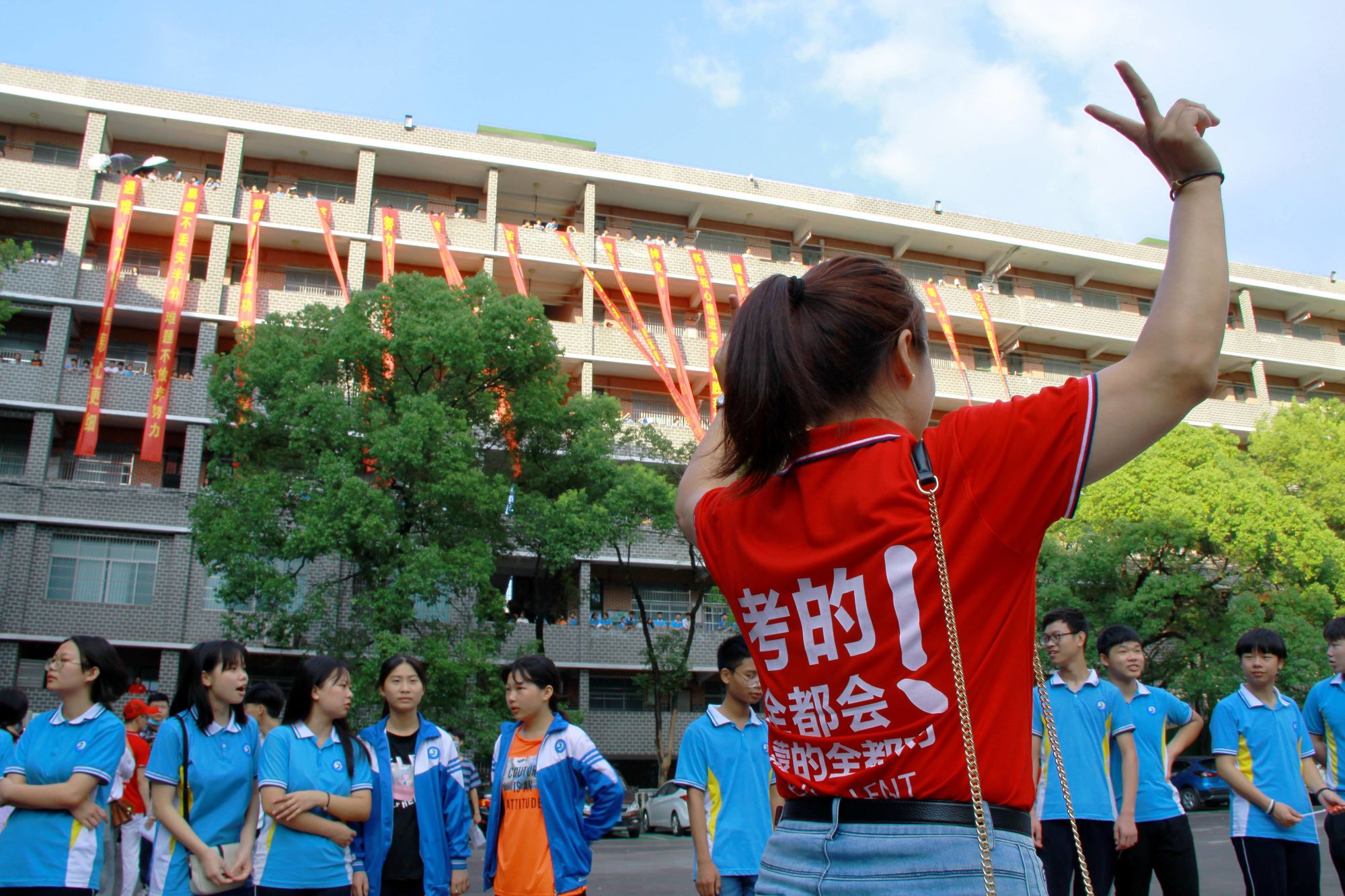 志愿高考填报系统_志愿高考填报模拟_高考e志愿