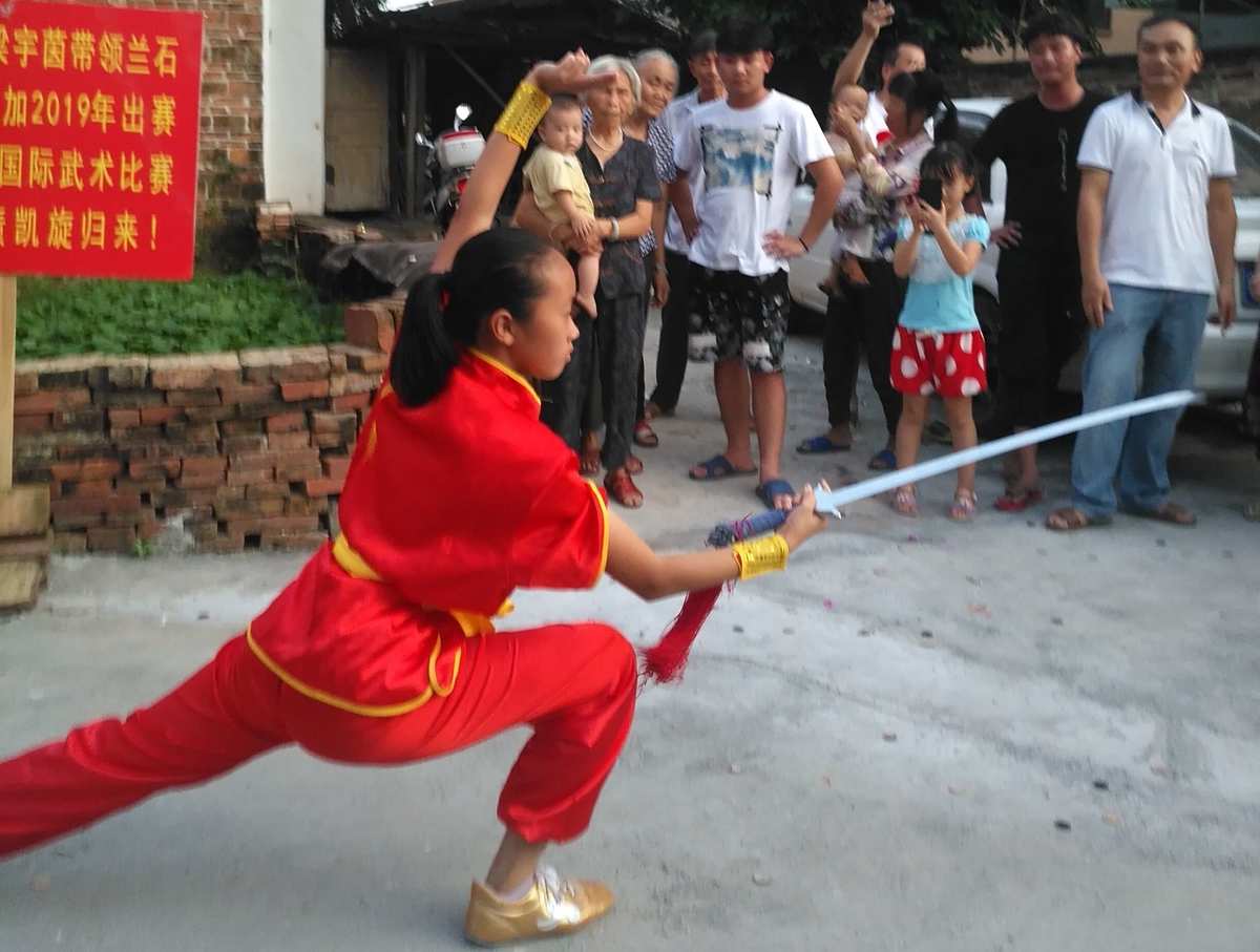 南斗水鸟拳_南斗水鸟拳飞翔白丽_南斗水鸟拳叫什么