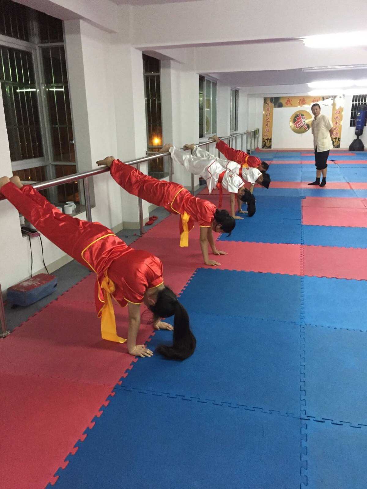 南斗水鸟拳_南斗水鸟拳飞翔白丽_南斗水鸟拳叫什么