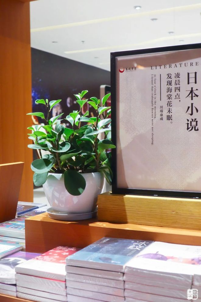海棠文化线上城知乎_海棠文化线上文学城书源_海棠线上文化书城