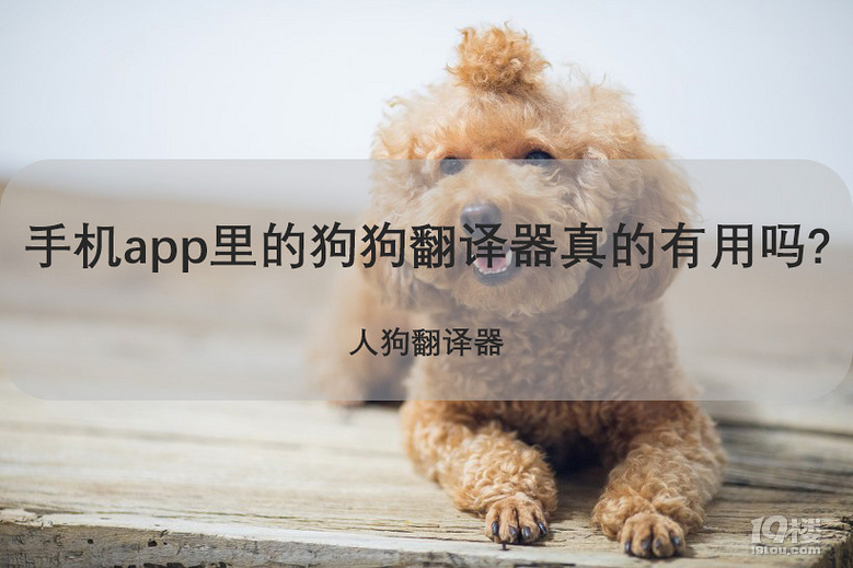 免费下载狗语翻译器_狗语翻译器下载_翻译狗语音的软件