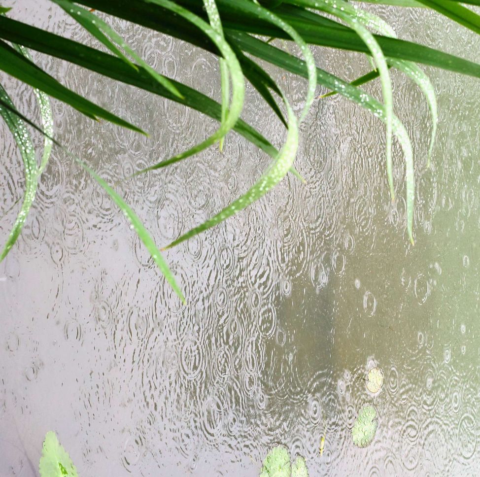 甘雨手机操作_触摸甘雨隐藏玩法_甘雨操作手法