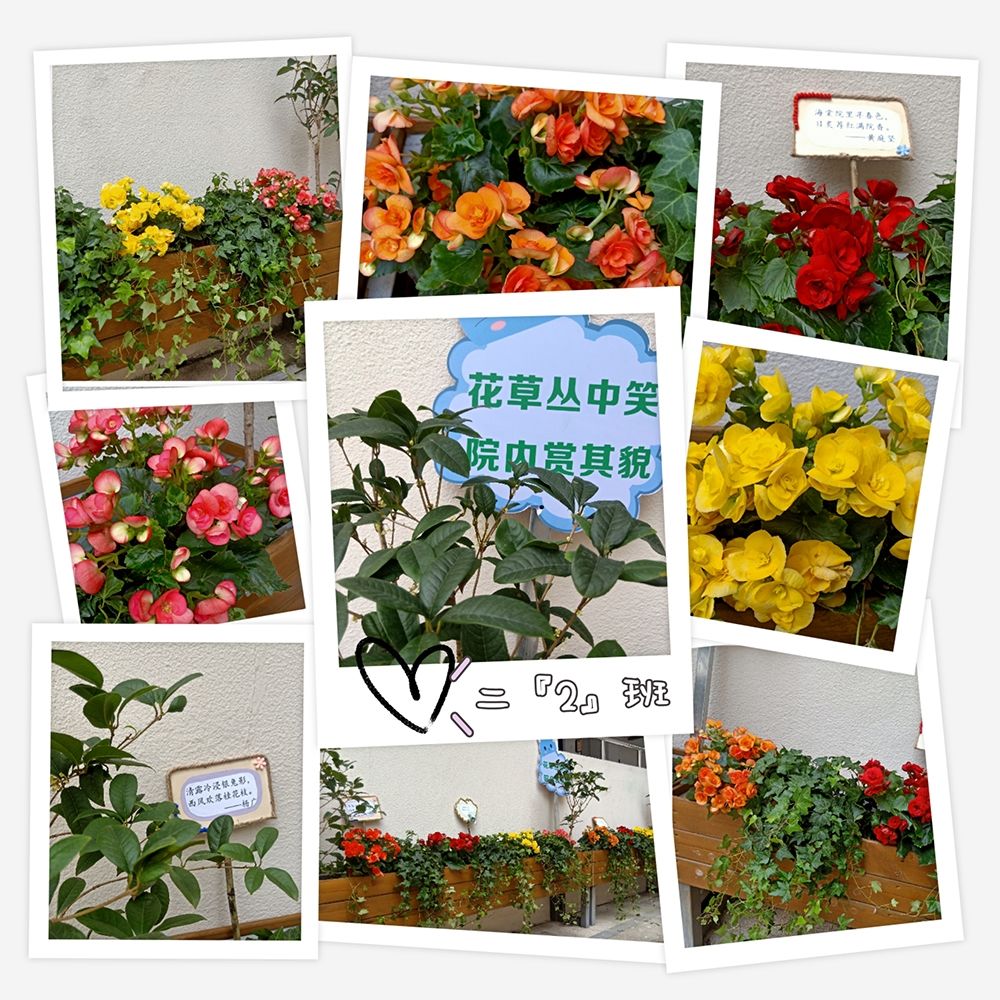 下载点淘_多点app下载_下载点APP
