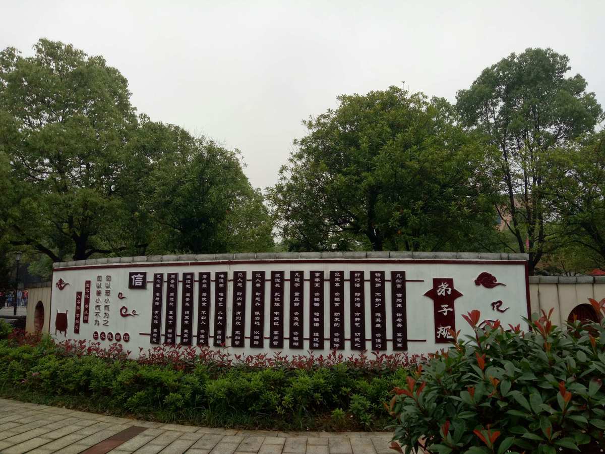 下载点APP_下载点淘_多点app下载