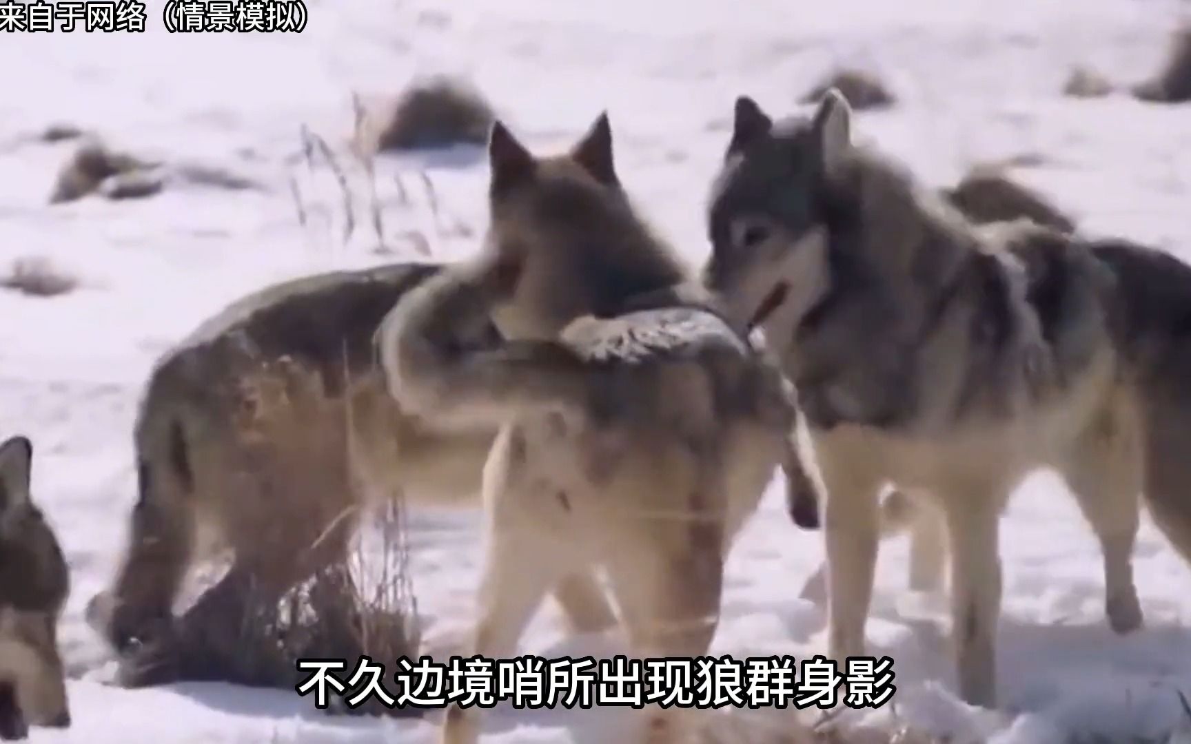 狼人窝_狼人窝_狼人窝