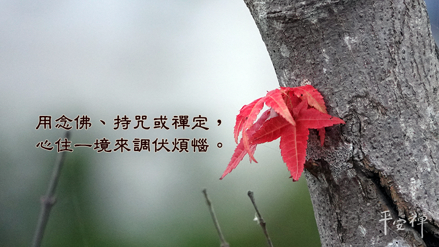 维摩精舍丛书_维摩经_维摩那