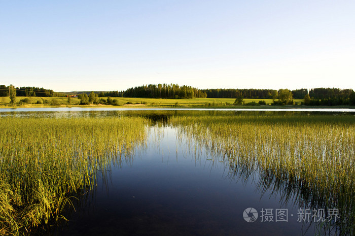 夏天的风叫什么风?_夏天的风叫啥风_夏天的风怎么称呼