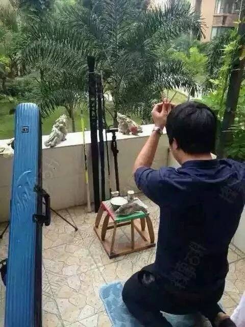 搞笑好玩手机游戏名字_搞笑的手游游戏名_好玩搞笑名字手机游戏男