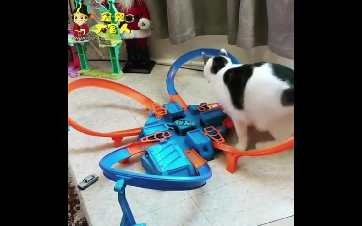 动物赛跑游戏模拟器手机版_模拟器赛跑动物版手机游戏_动物模拟器跑步比赛