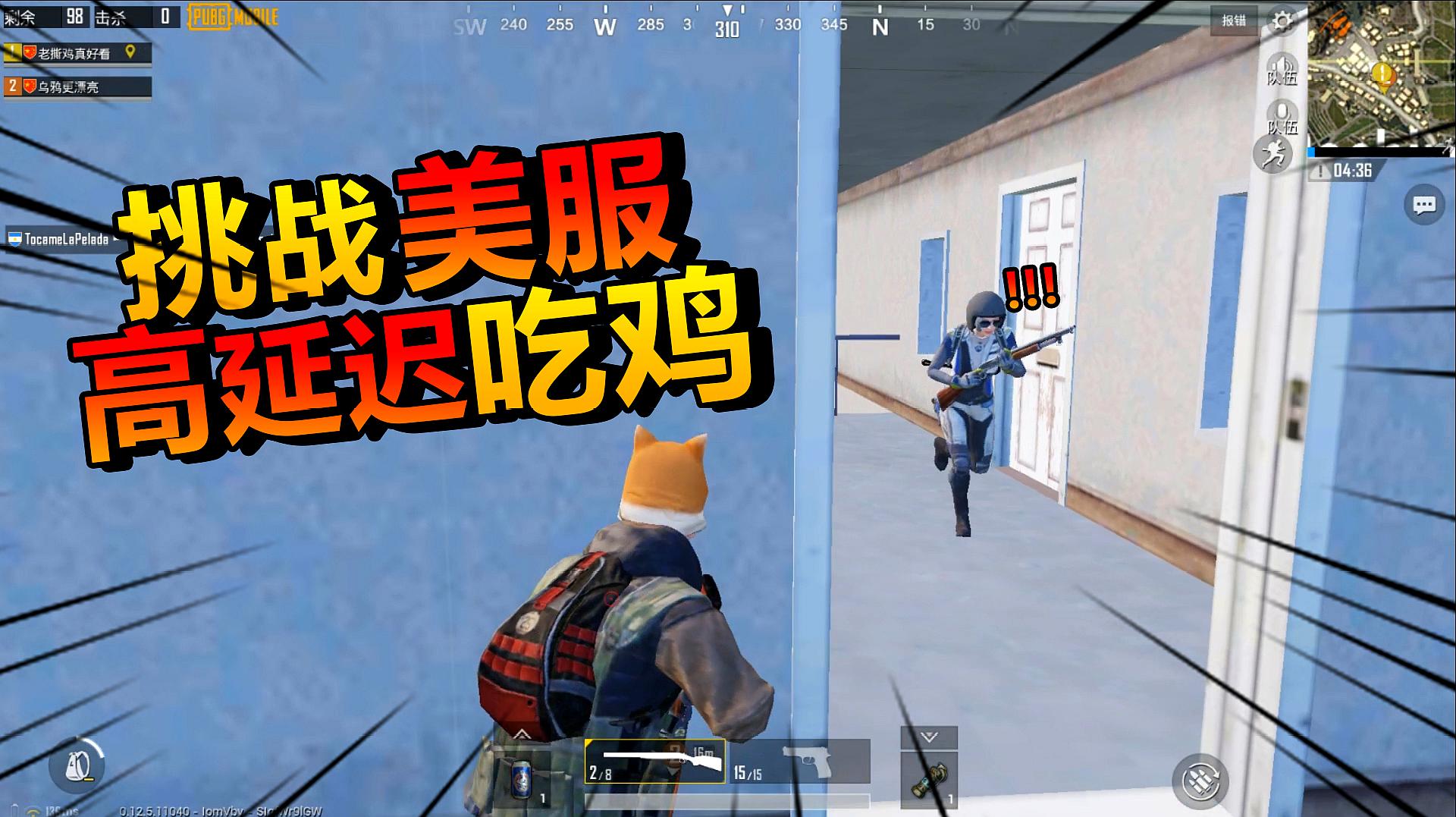 大家用手机怎么玩吃鸡游戏_吃鸡游戏中鸡有什么用_鸡吃米游戏