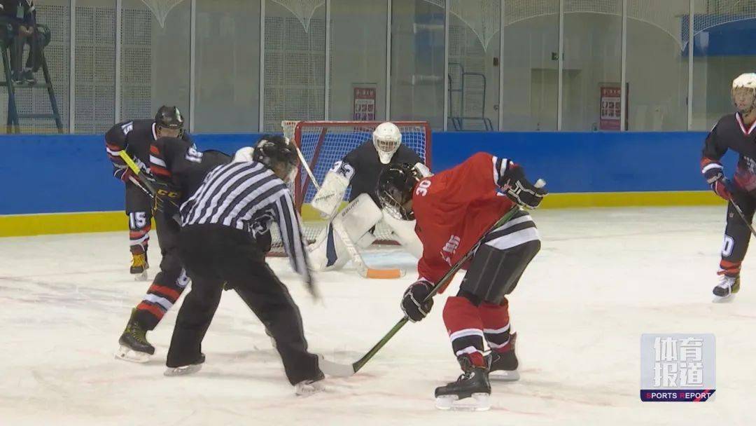 冰球单机版下载_nhl2k冰球游戏手机版_nhl冰球游戏2019安卓版