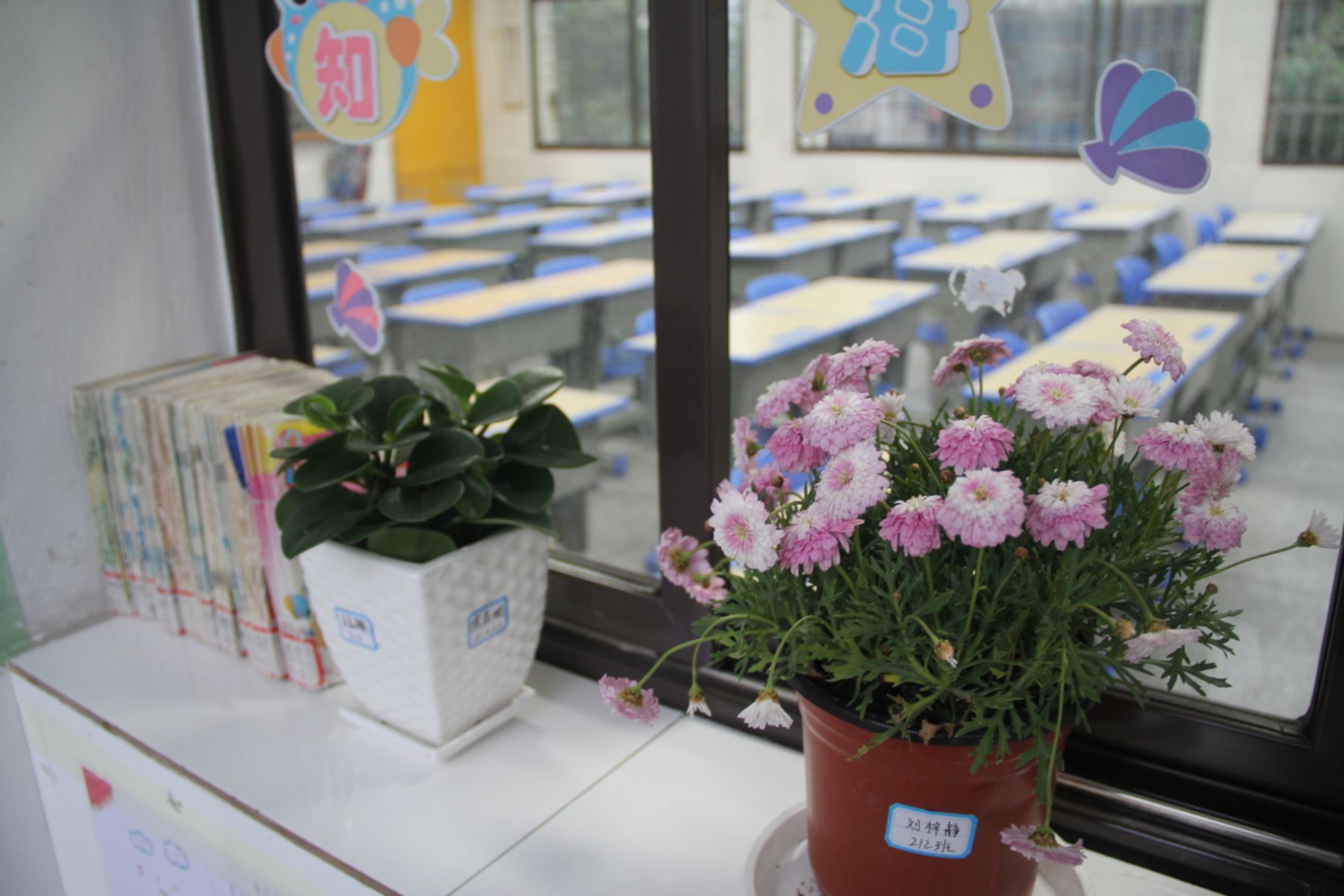 五月节是多少号_五月节是多少号阳历_五月节几号五月节
