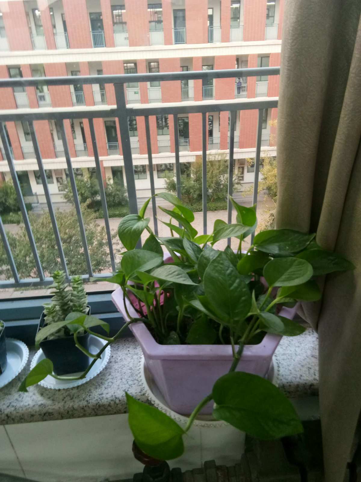 五月节是多少号_五月节是多少号阳历_五月节几号五月节