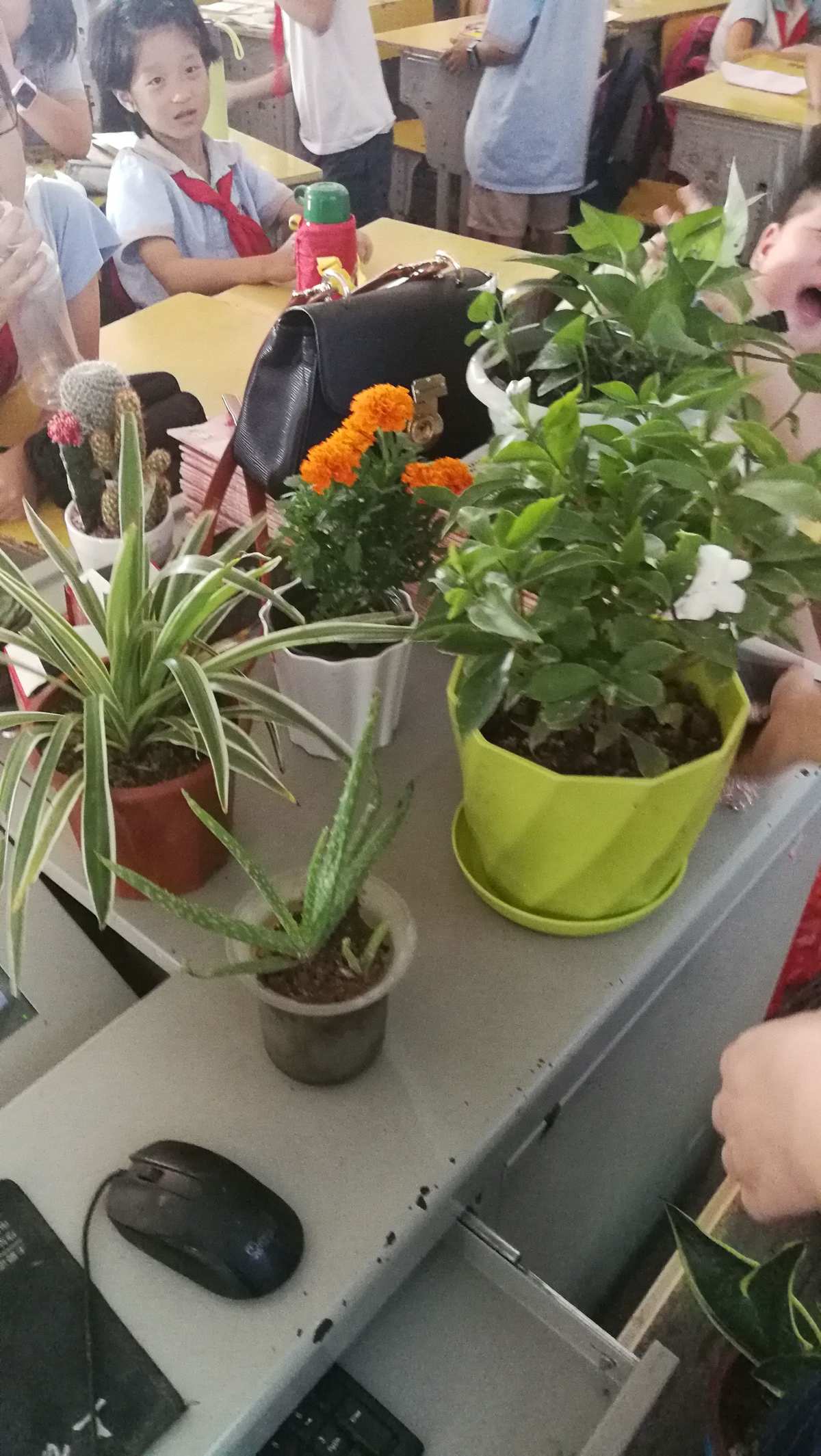 五月节是多少号_五月节是多少号阳历_五月节几号五月节
