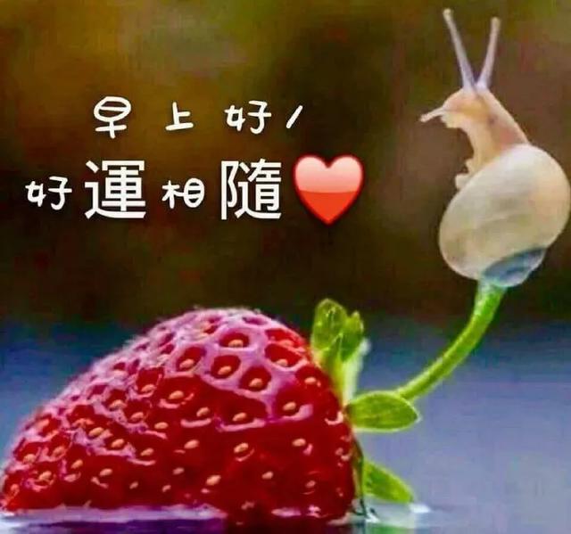 火影表情包摸头_摸头的表情包_火影手游表情包摸头