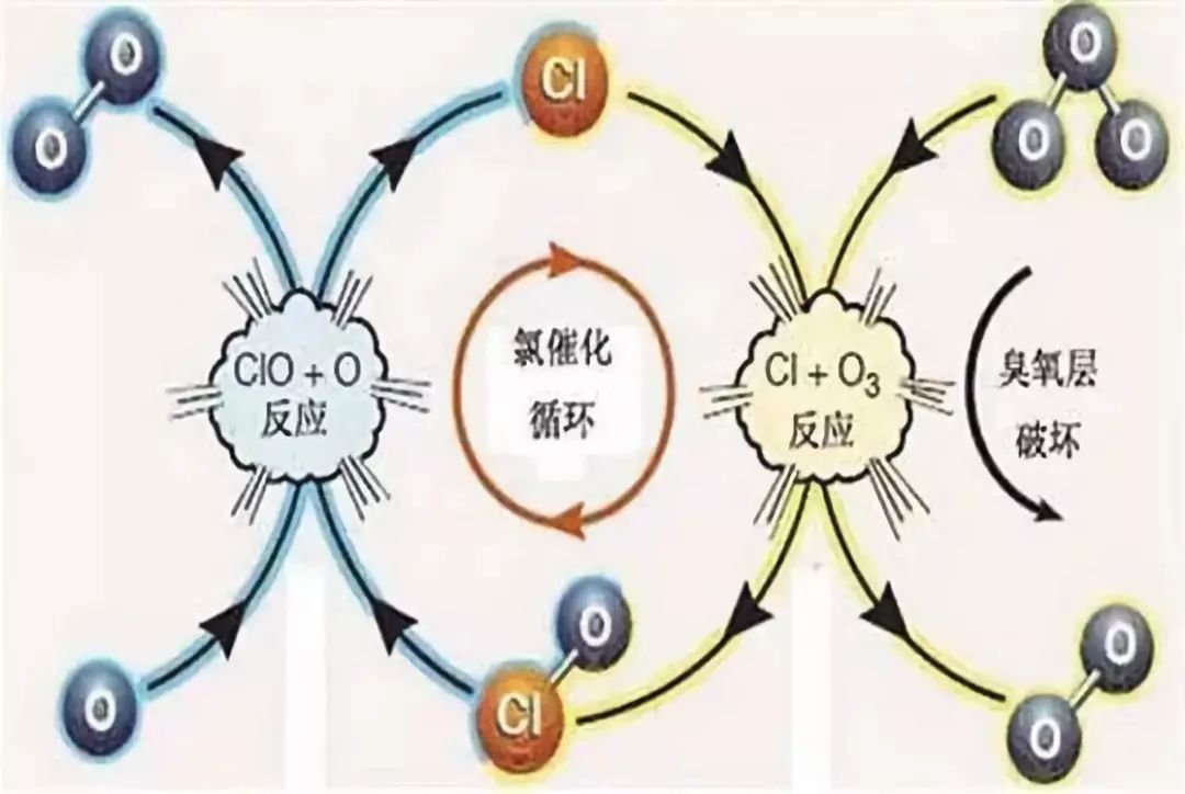 国际保护臭氧层日是哪年决定的_保护臭氧层国际公约_国际臭氧层保护日