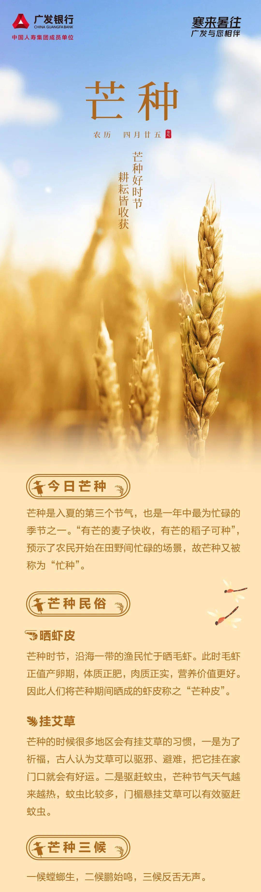芒种是什么意思_芒种的意思是_芒种指的是