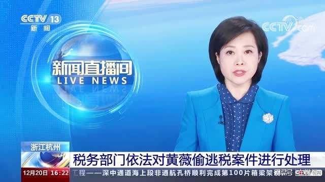 主播税是怎么扣的_主播赚100万扣多少税_主播税收是20%吗