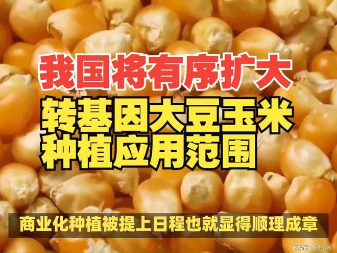 收集古董的手机游戏_古董小游戏_古董手机游戏种地