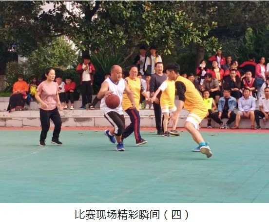 孢子游戏中文版手机游戏_nba中文版2k手机游戏_nba2k中文版手机版