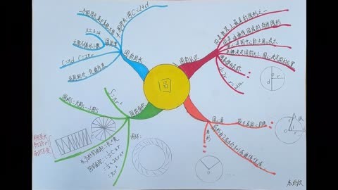 思维导图小虾怎么写_思维导图的导怎么写_小虾的思维导图