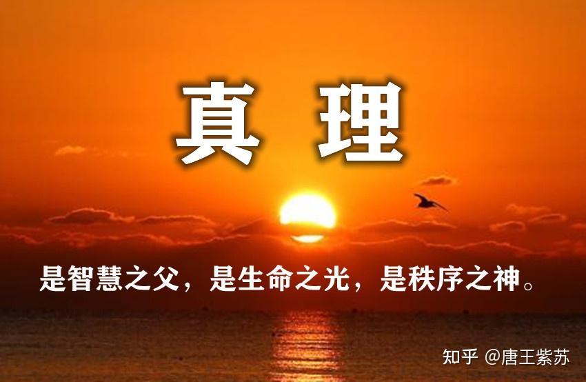 特工神童_特工神童国语版_特工神童1国语版