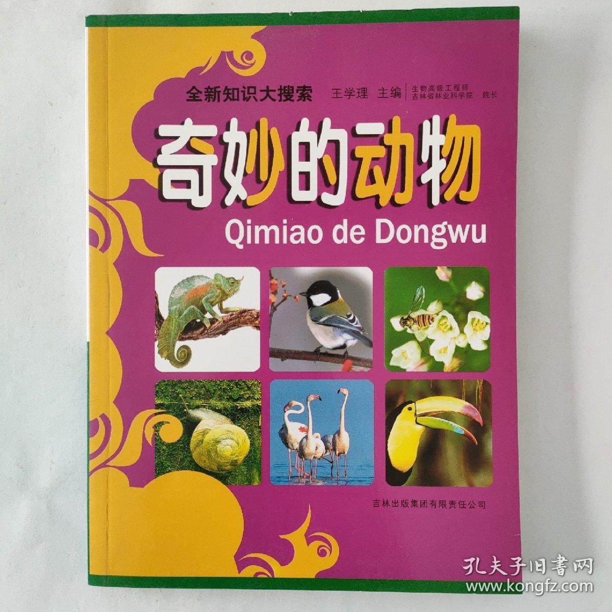 忍术是什么意思_忍术大师_忍术