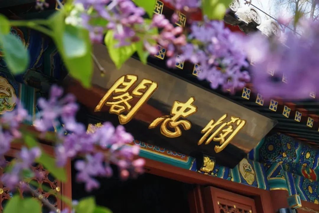 andy手机游戏_手机游戏手游_手机游戏Ananias