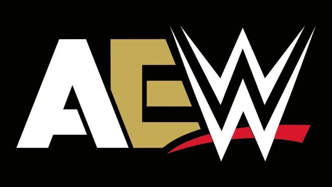 wwe格斗游戏手机版_wwe格斗游戏3d_格斗手机版下载