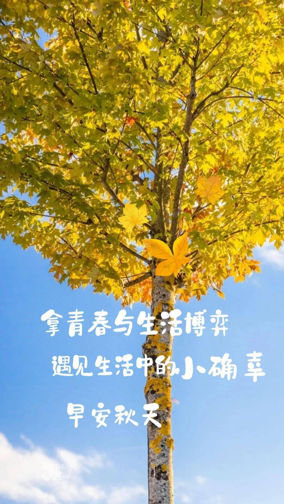 哪些年是闰月年_2009年9月9日_月日年还是日月年