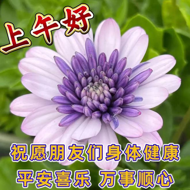 外国生产日期怎么看日月年_月日年还是日月年_2022年3月17日