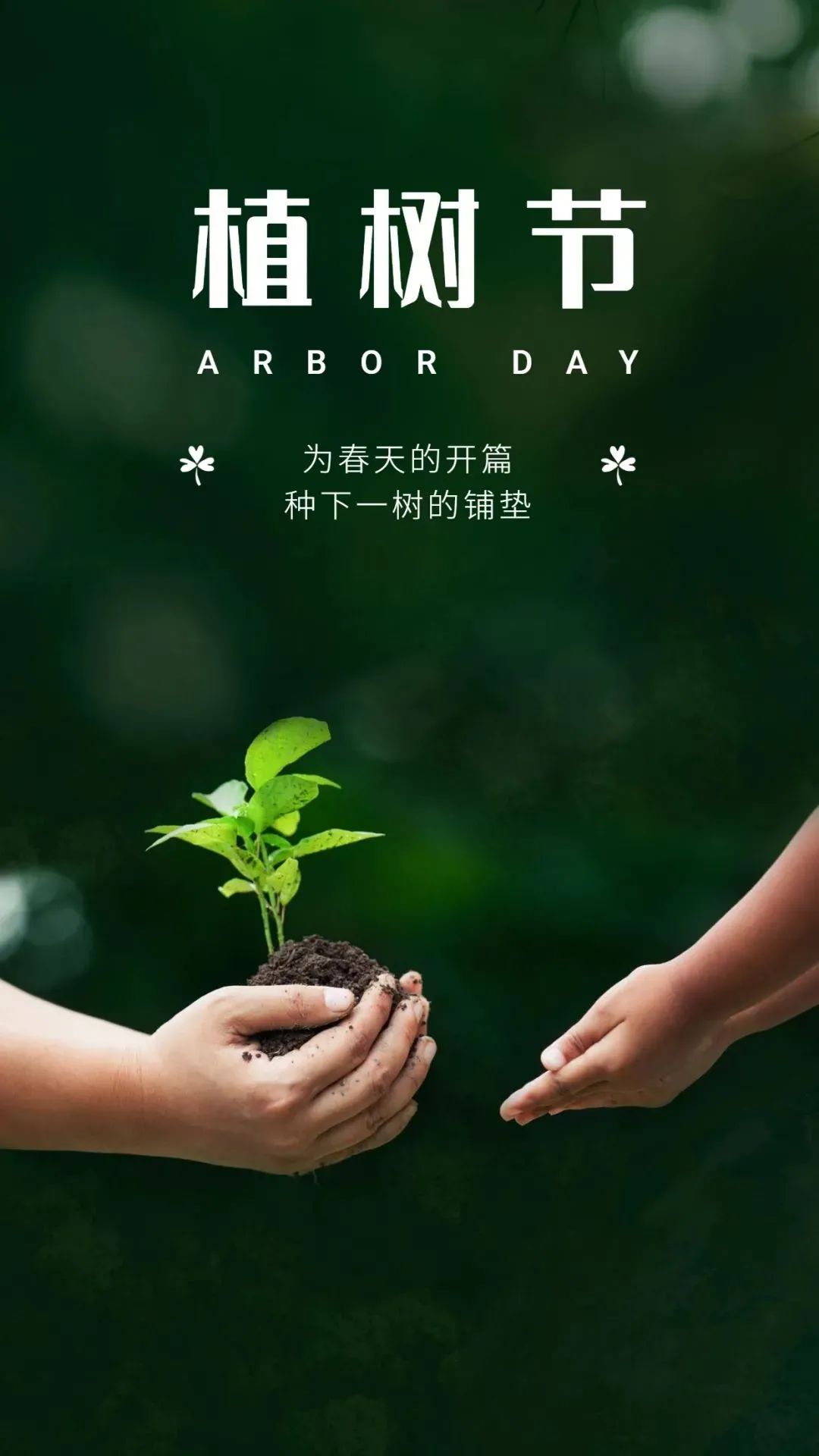 植树节节目活动方案_植树节活动的目的和意义_植树意义节目的活动有哪些