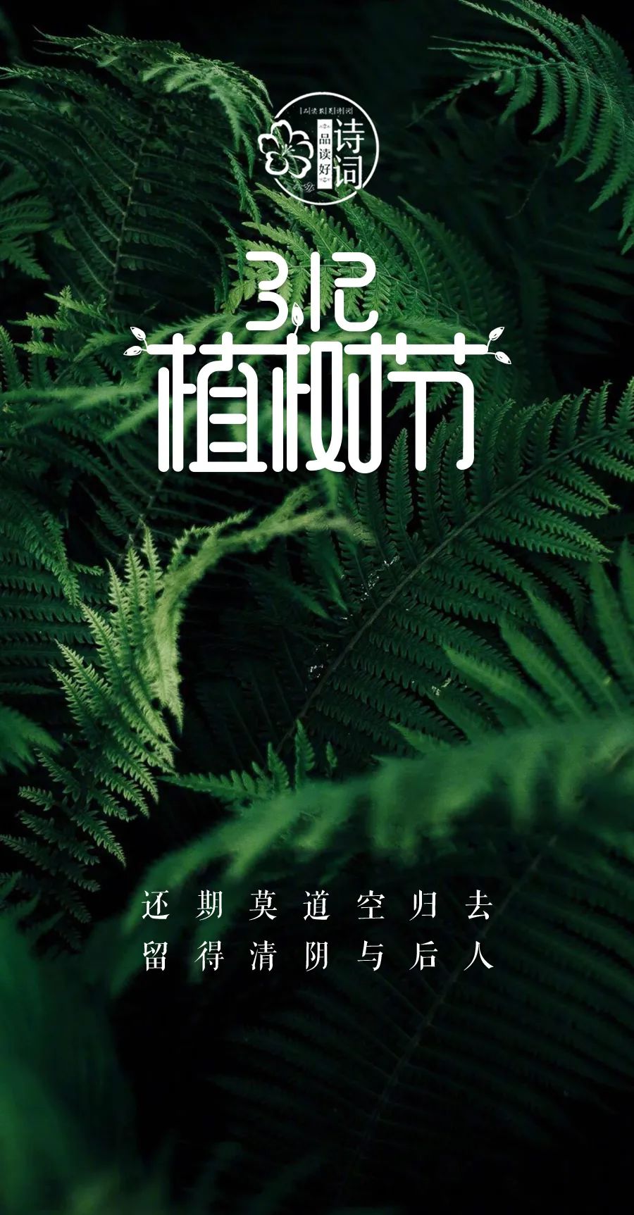 植树节活动的目的和意义_植树意义节目的活动有哪些_植树节节目活动方案