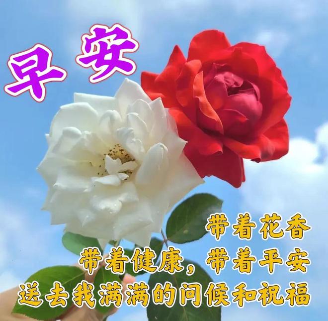 艾斯特_斯特艾克降解_斯特艾玛