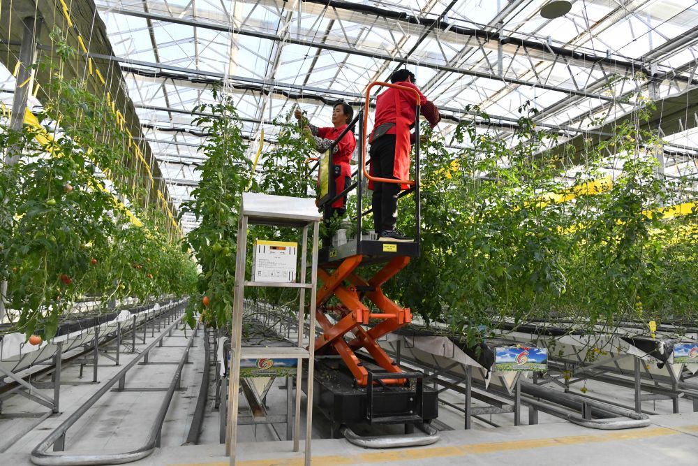 手环小米上市时间表_小米手环8上市时间_小米手环上市
