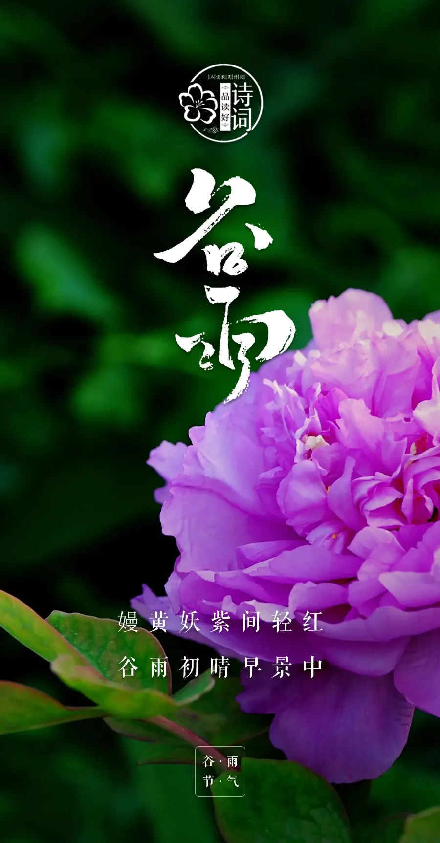 谷雨天是什么歌_谷雨天是什么样子_谷雨是哪天