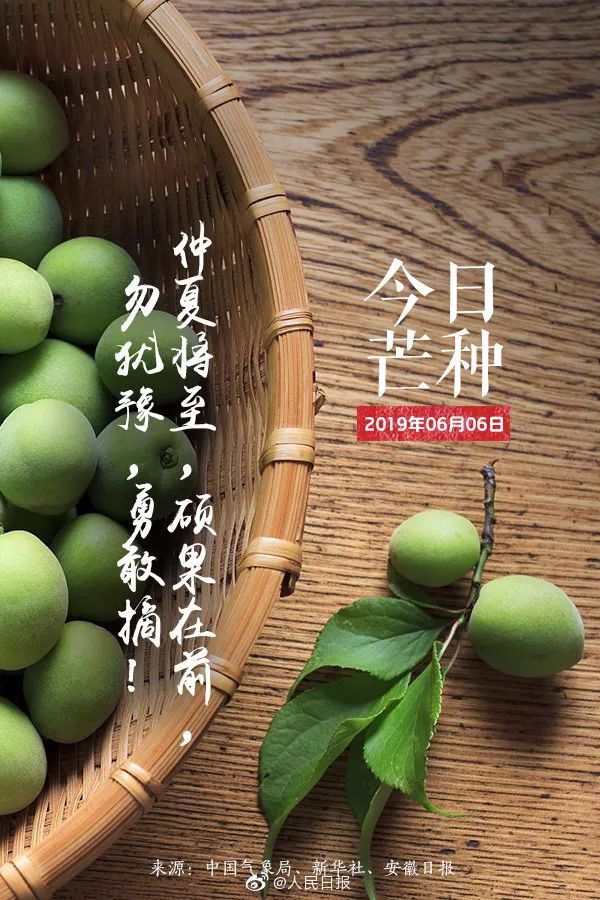 芒种时节_芒种时节宜多食_芒种时节图片